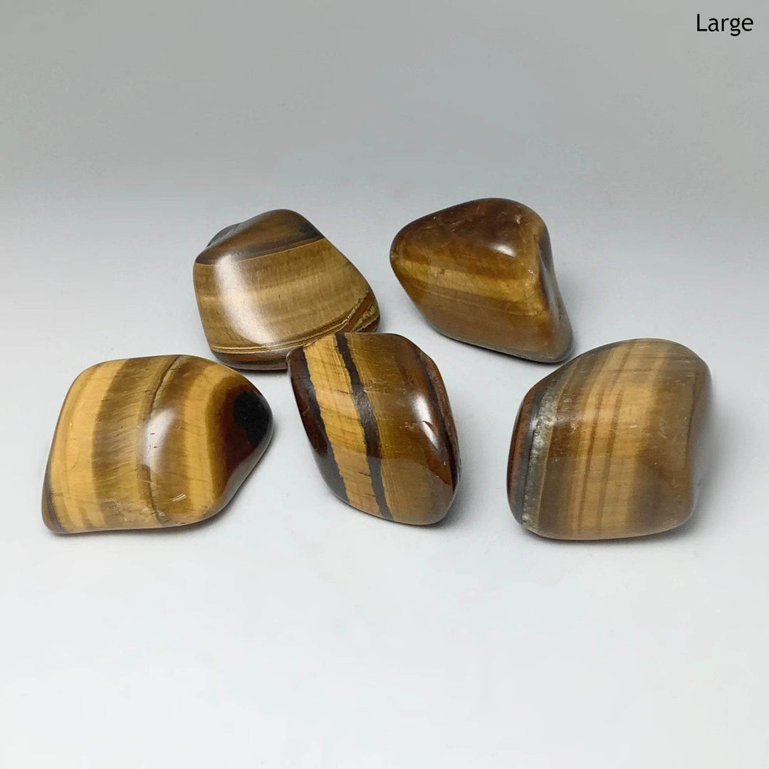 Tiger Eye Tumble - Rocks and Gems Canada