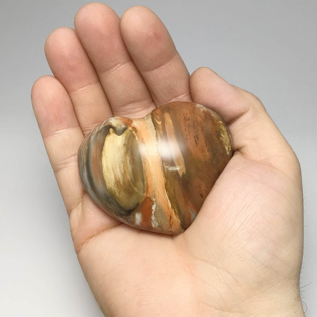 Petrified Wood Heart - Rocks and Gems Canada