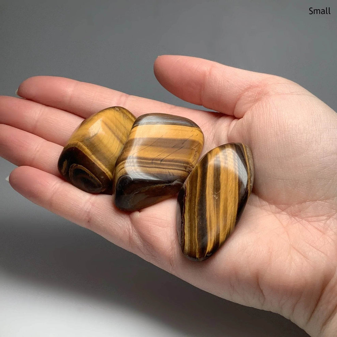 Tiger Eye Tumble - Rocks and Gems Canada