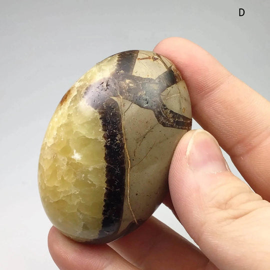 Septarian Tumble - Rocks and Gems Canada
