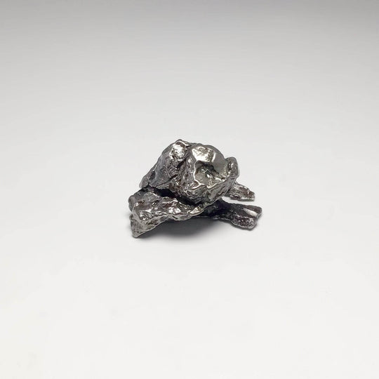 Campo Del Cielo Meteorite - Rocks and Gems Canada