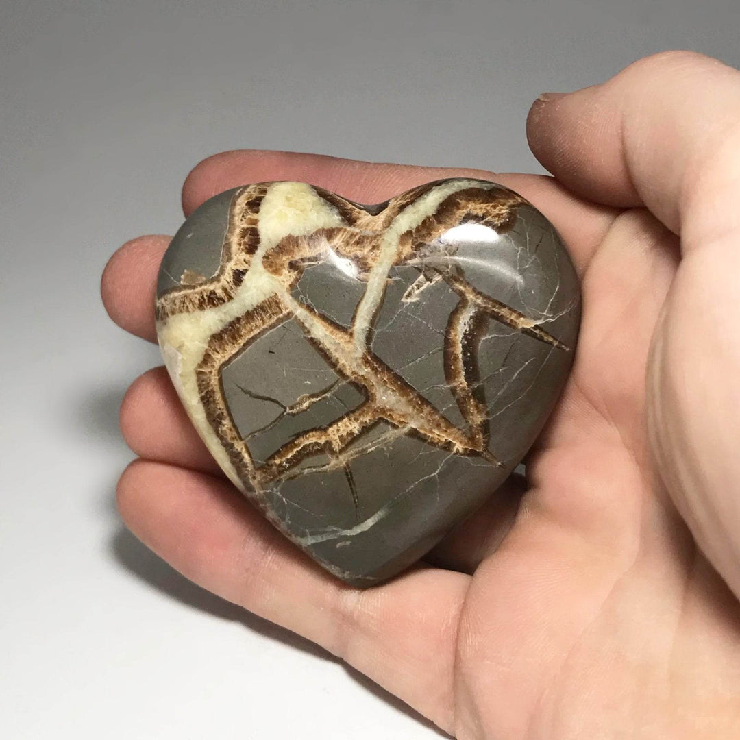 Septarian Heart - Rocks and Gems Canada
