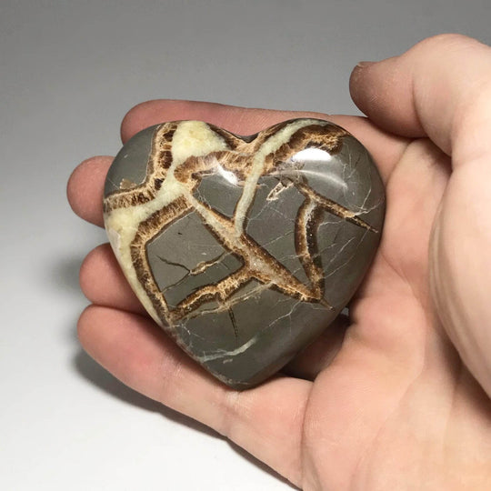 Septarian Heart - Rocks and Gems Canada