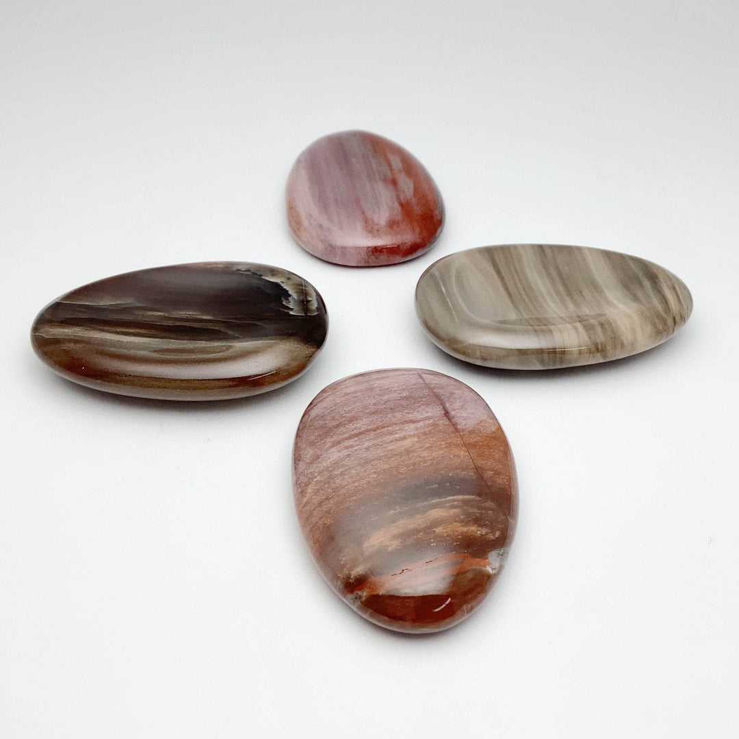 Worry Stone - Petrified Wood - Rocks and Gems Canada