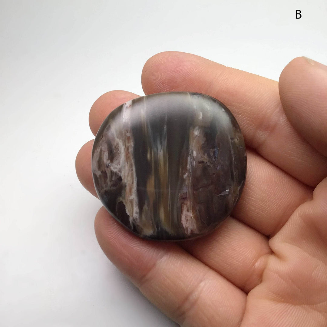 Petrified Wood Touch Stone - Rocks and Gems Canada