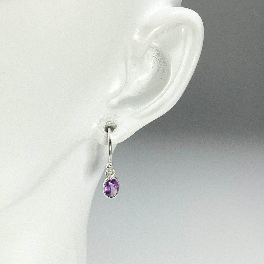 Amethyst Dangle Earrings - Rocks and Gems Canada