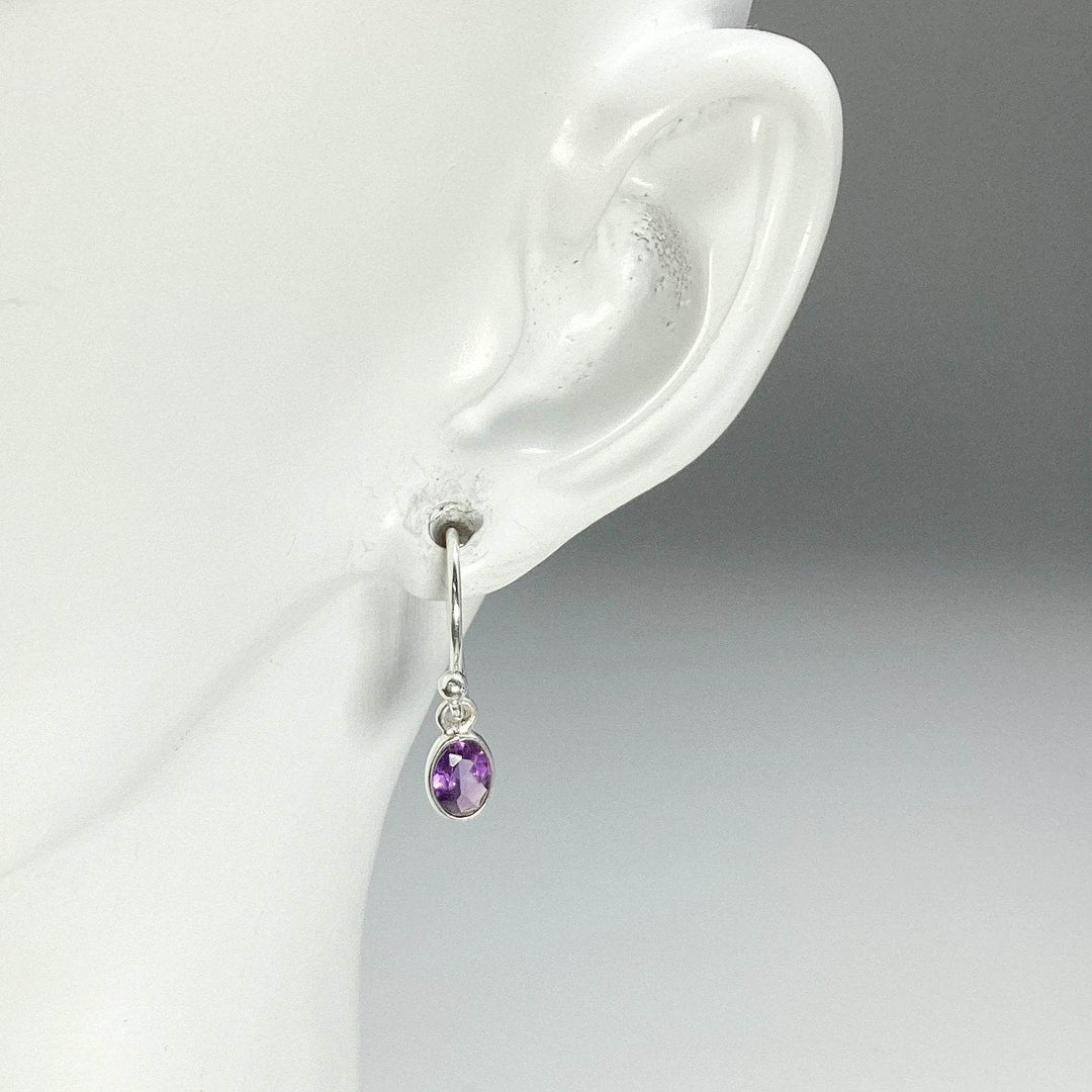 Amethyst Dangle Earrings - Rocks and Gems Canada