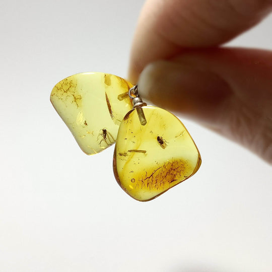 Amber with Preserved Insect Inclusion Dangle Earrings - Rocks and Gems Canada