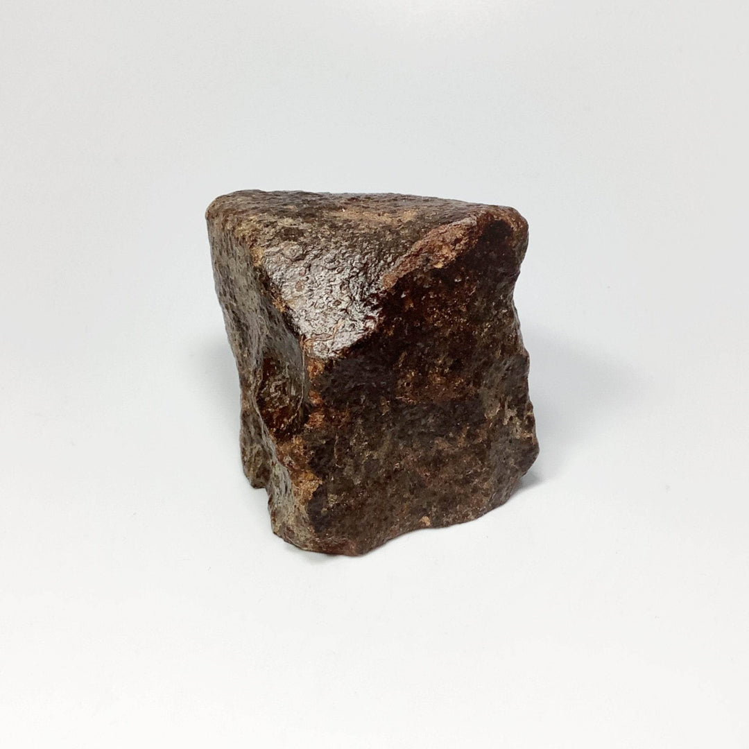 NWA Chondrite Meteorite - Rocks and Gems Canada