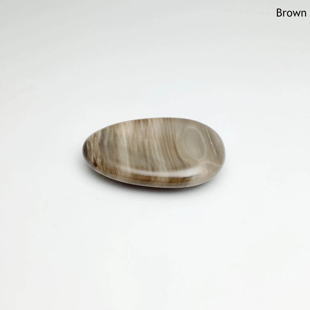 Worry Stone - Petrified Wood - Rocks and Gems Canada