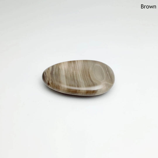 Worry Stone - Petrified Wood - Rocks and Gems Canada