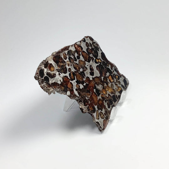 Sericho Meteorite Slice - Rocks and Gems Canada