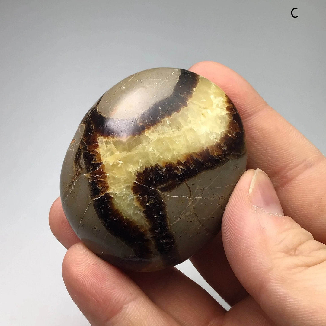 Septarian Tumble - Rocks and Gems Canada