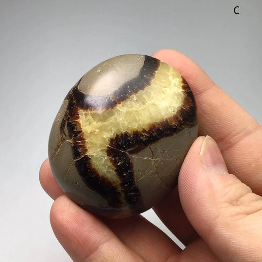 Septarian Tumble - Rocks and Gems Canada
