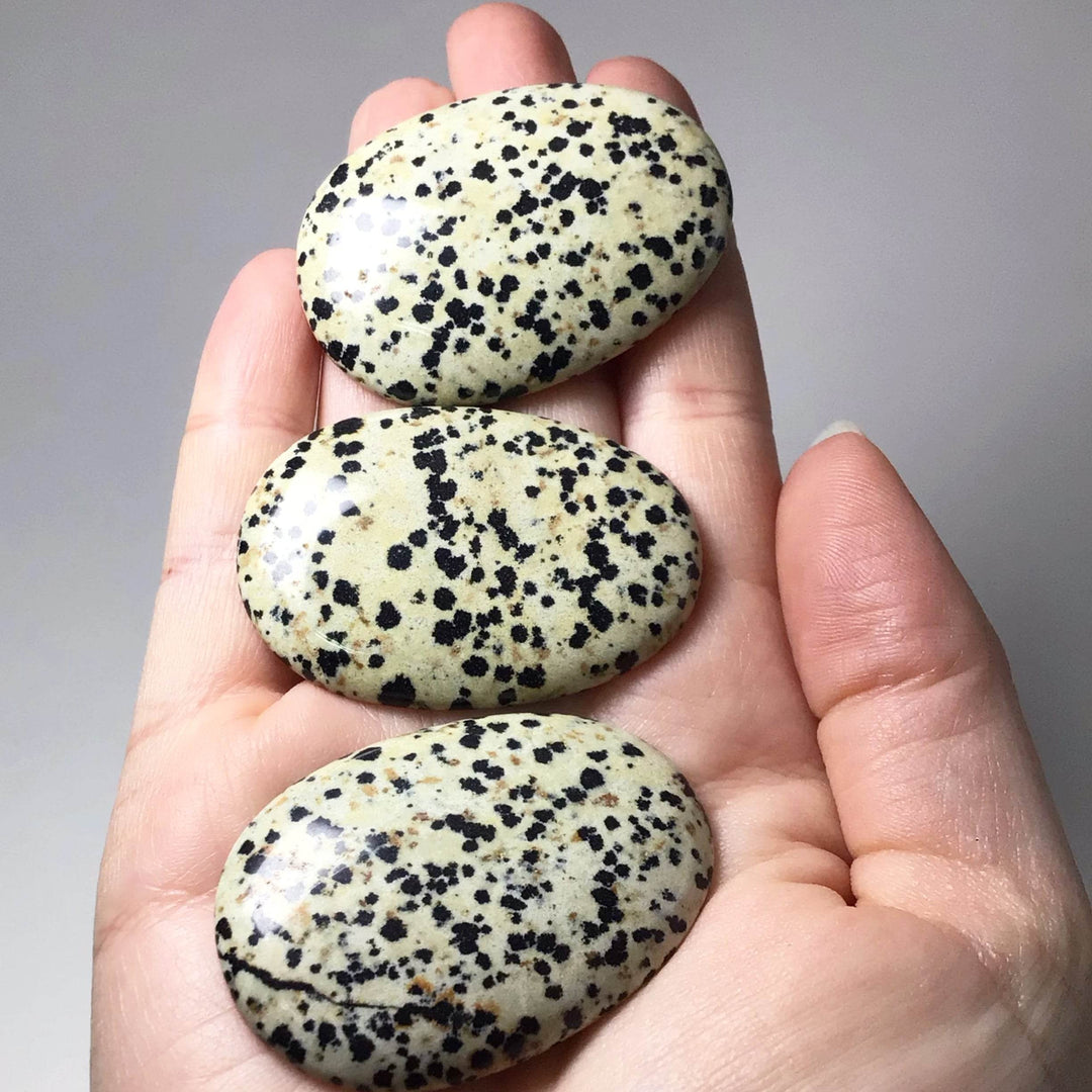 Worry Stone - Dalmatian Jasper - Rocks and Gems Canada