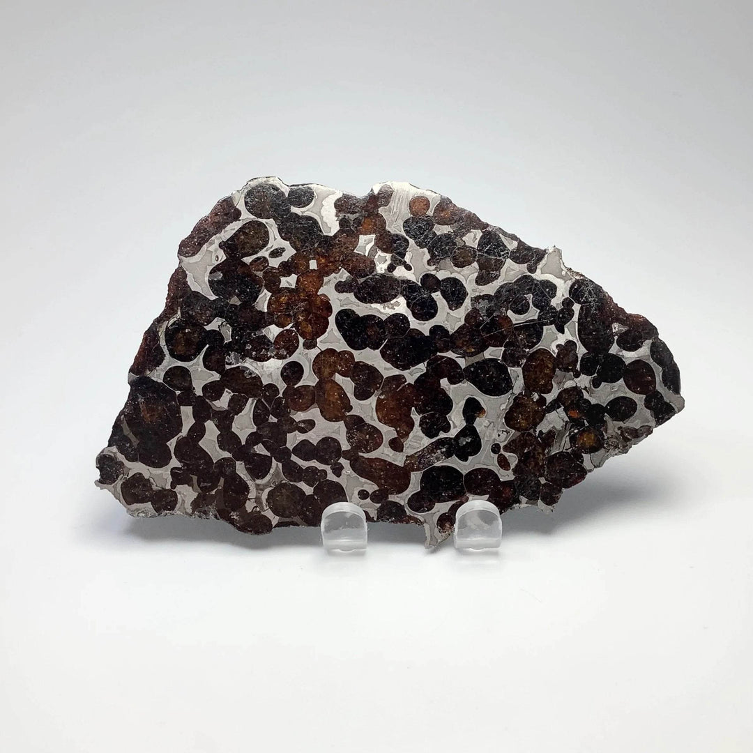 Sericho Meteorite Slice - Rocks and Gems Canada