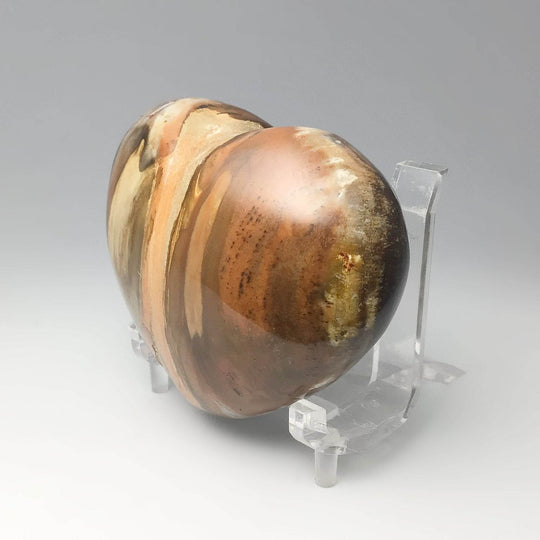 Petrified Wood Heart - Rocks and Gems Canada