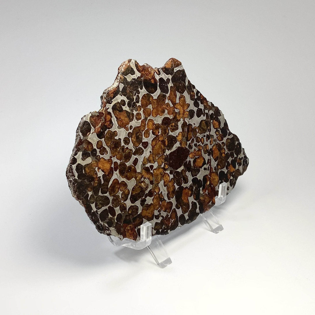 Sericho Large Meteorite Slice - Rocks and Gems Canada