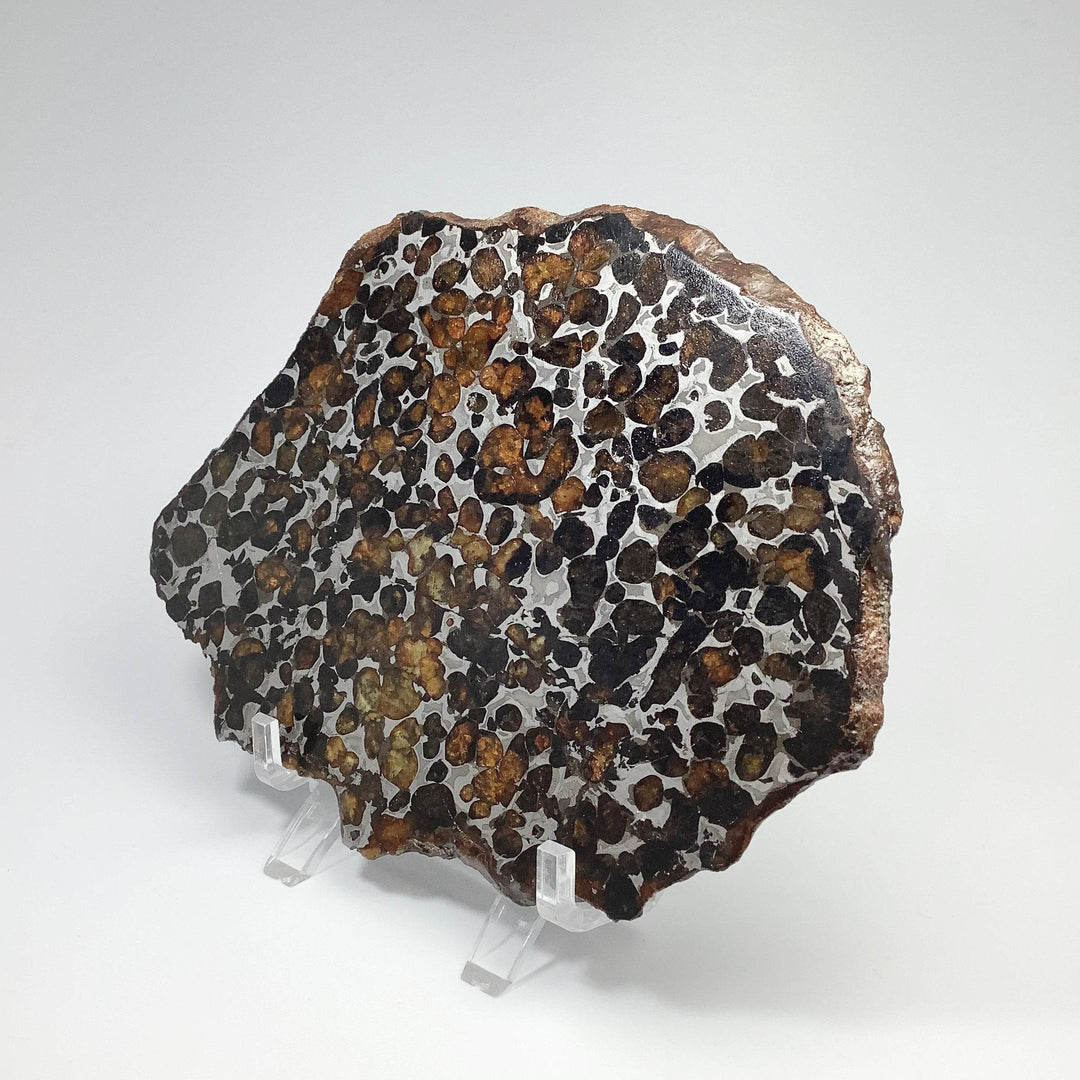 Sericho Large Meteorite Slice - Rocks and Gems Canada