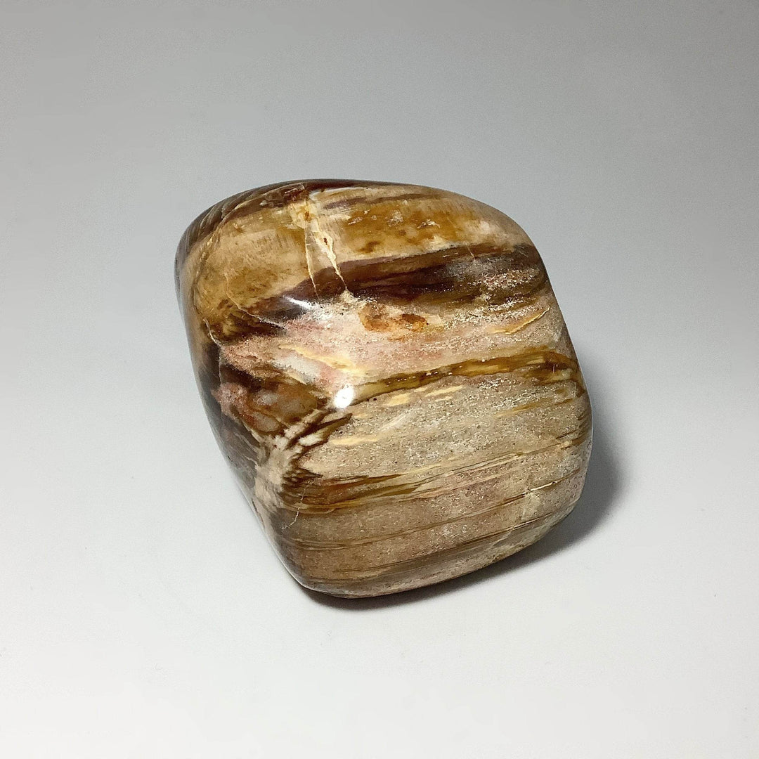 Araucaria Petrified Wood Polished Chunk - Rocks and Gems Canada