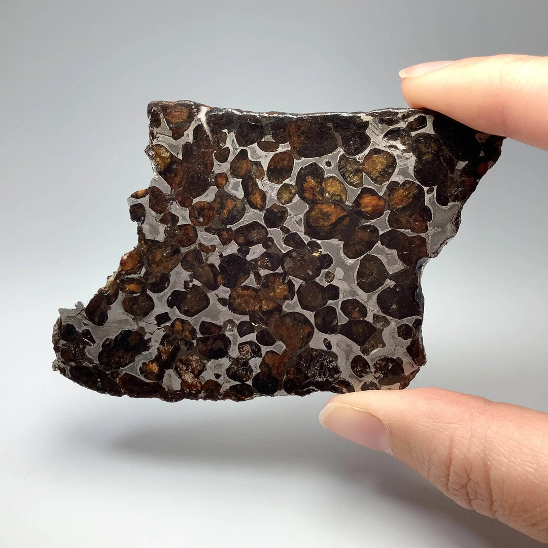 Sericho Meteorite Slice - Rocks and Gems Canada