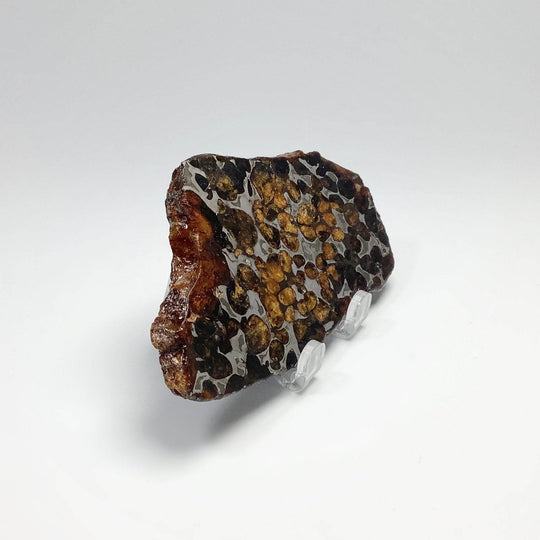 Sericho Meteorite Slice - Rocks and Gems Canada