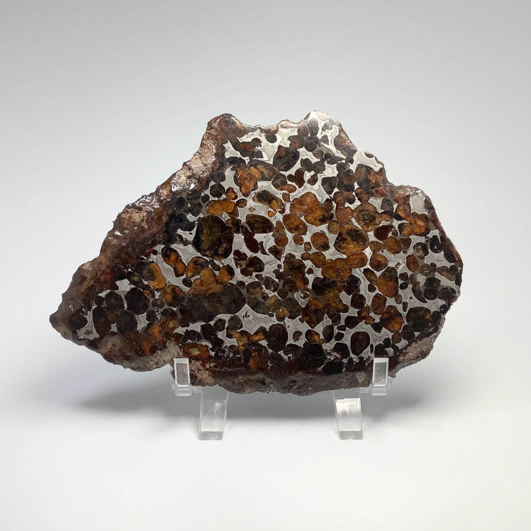 Sericho Large Meteorite Slice - Rocks and Gems Canada