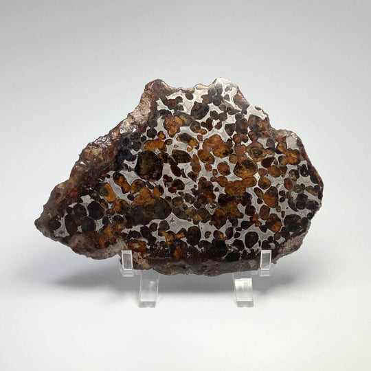 Sericho Large Meteorite Slice - Rocks and Gems Canada