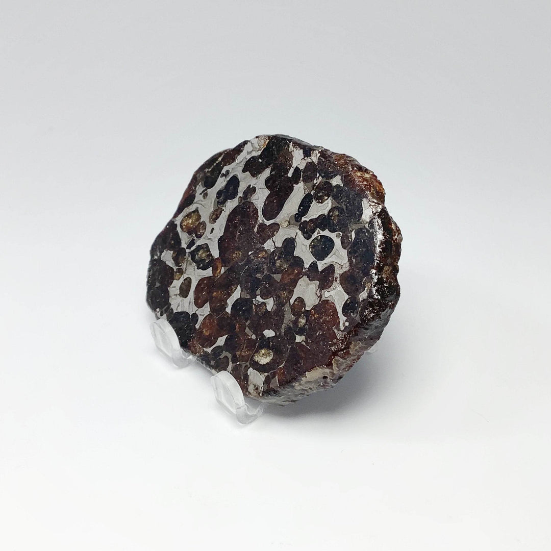 Sericho Meteorite Slice - Rocks and Gems Canada