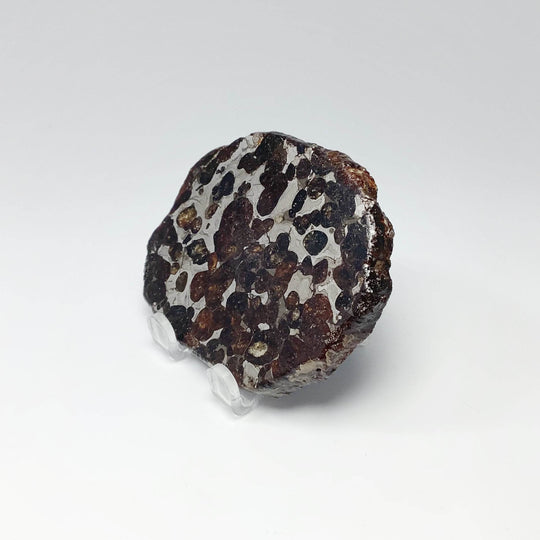 Sericho Meteorite Slice - Rocks and Gems Canada