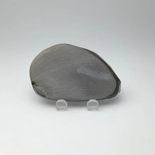 Ammolite Specimen - Rocks and Gems Canada