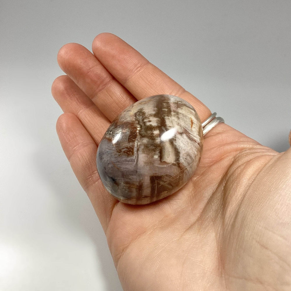 Petrified Wood Tumble - Rocks and Gems Canada