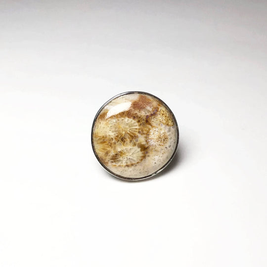Fossil Coral Ring - Rocks and Gems Canada