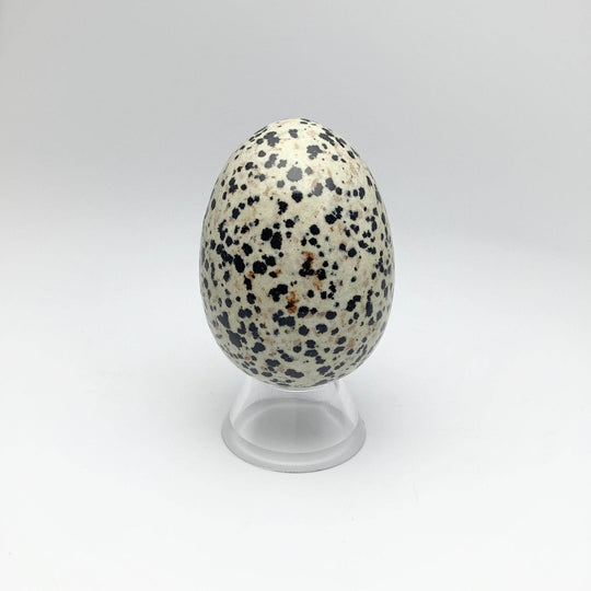 Dalmatian Jasper Egg - Rocks and Gems Canada