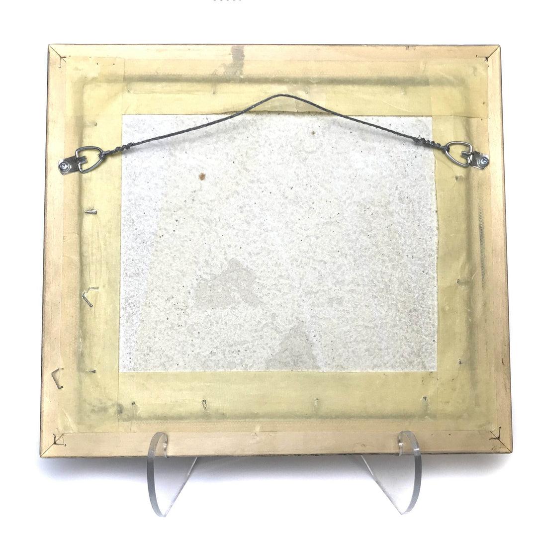 Heliobatis Fossil Plate in Frame - Rocks and Gems Canada