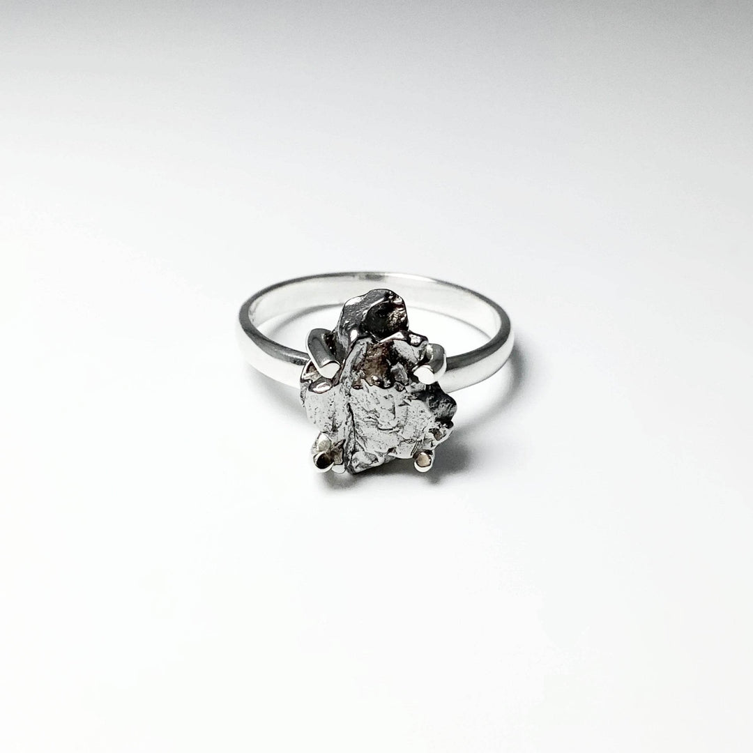 Campo Del Cielo Meteorite Ring - Rocks and Gems Canada
