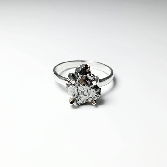 Campo Del Cielo Meteorite Ring - Rocks and Gems Canada