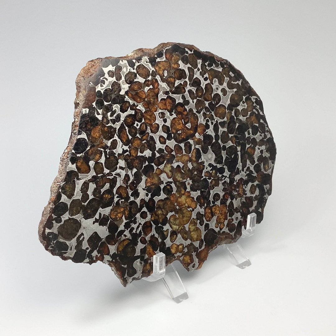 Sericho Large Meteorite Slice - Rocks and Gems Canada