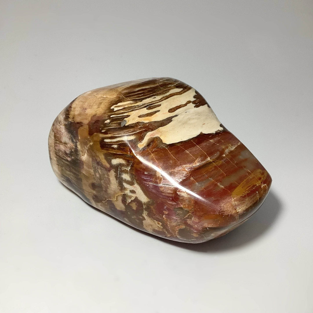 Araucaria Petrified Wood Polished Chunk - Rocks and Gems Canada