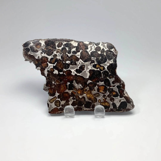Sericho Meteorite Slice - Rocks and Gems Canada