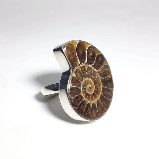 Ammonite Ring - Rocks and Gems Canada