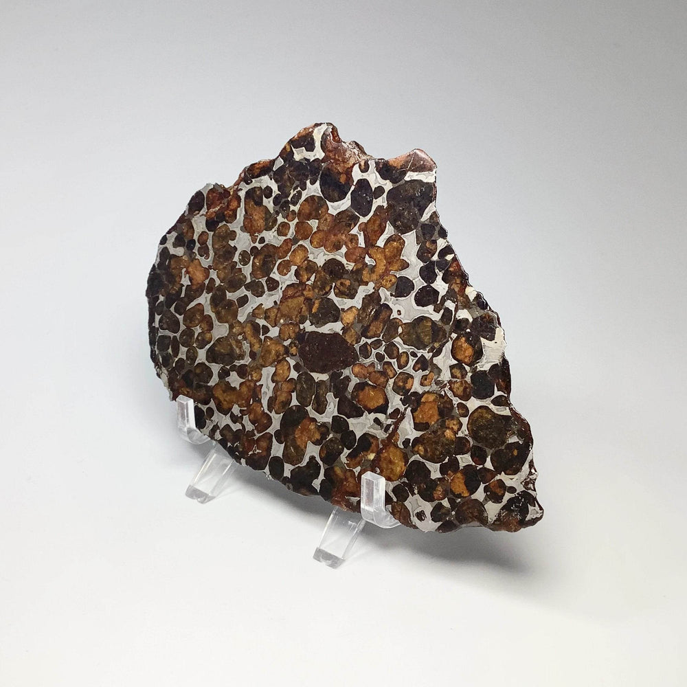 Sericho Large Meteorite Slice - Rocks and Gems Canada