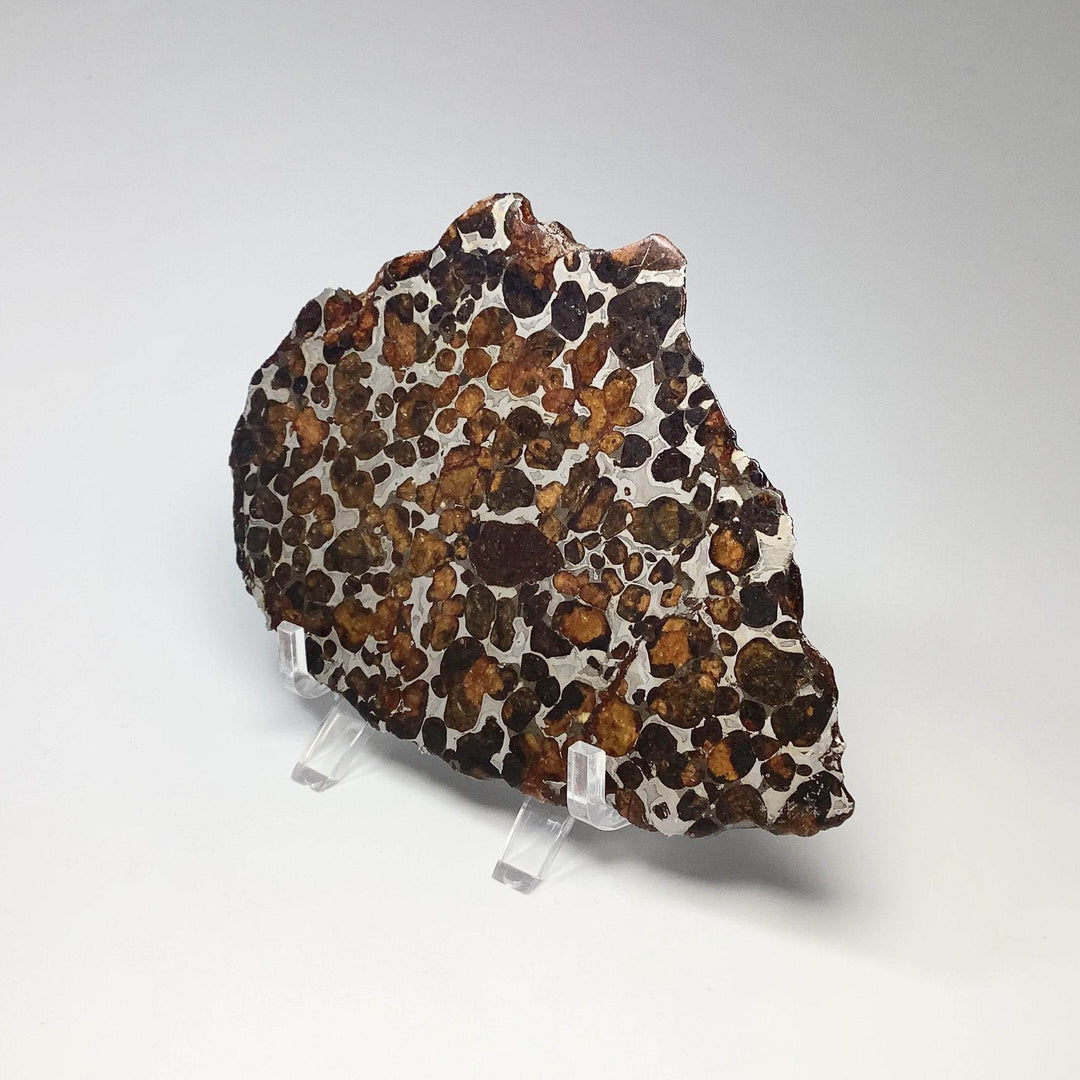 Sericho Large Meteorite Slice - Rocks and Gems Canada