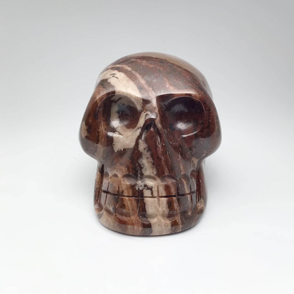 Carved Chocolate Jasper Skull - Rocks and Gems Canada