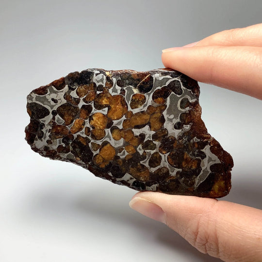 Sericho Meteorite Slice - Rocks and Gems Canada