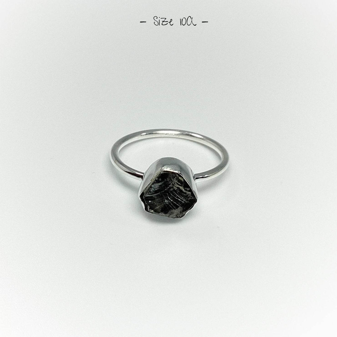 Raw Elite Shungite Ring - Rocks and Gems Canada