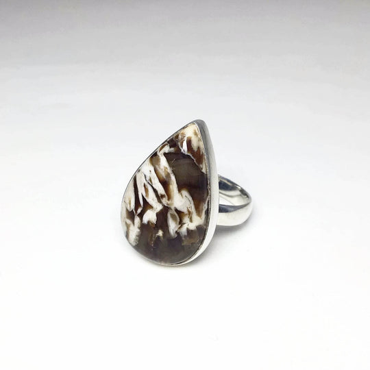 Petrified Peanut Wood Ring - Rocks and Gems Canada