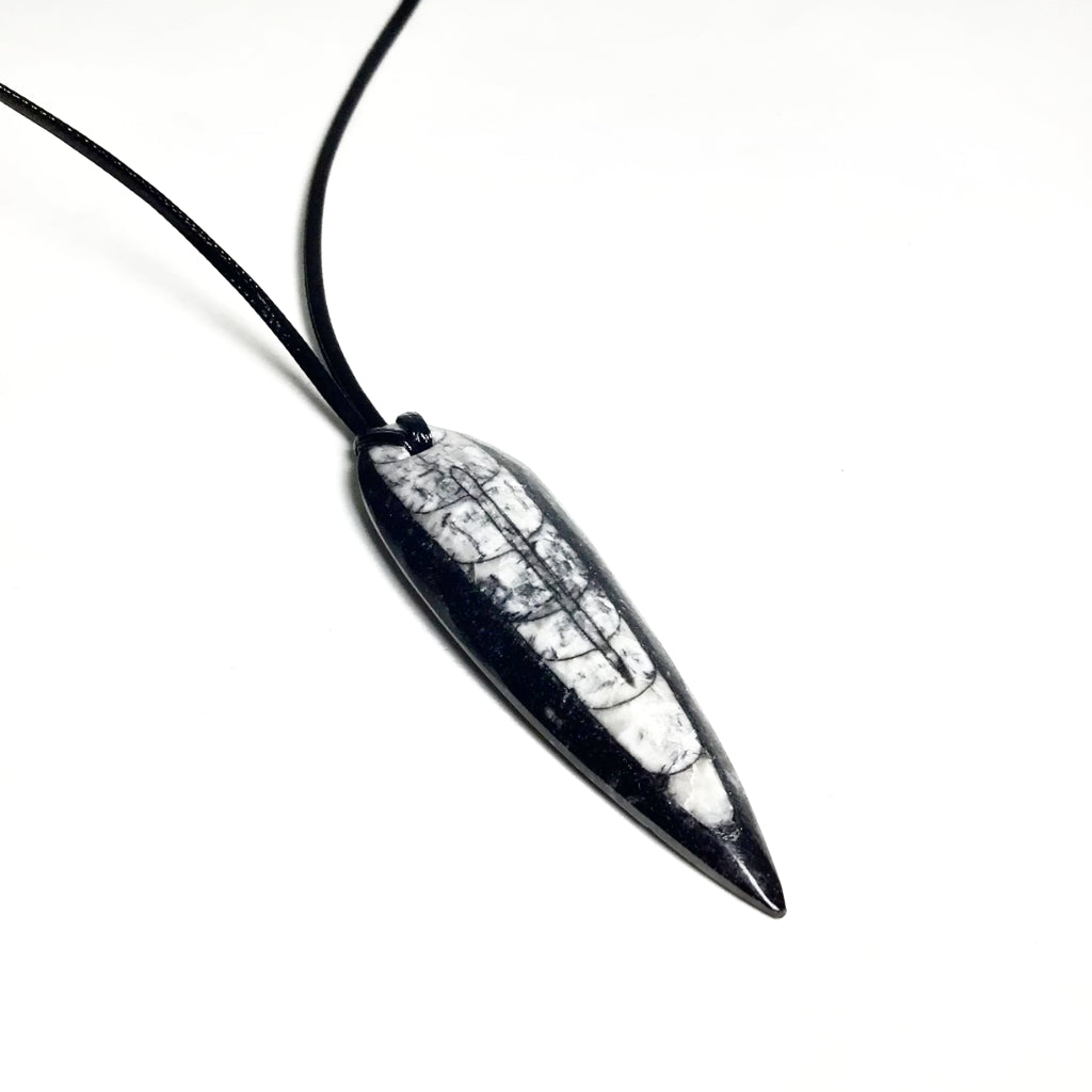 Orthoceras necklace hotsell
