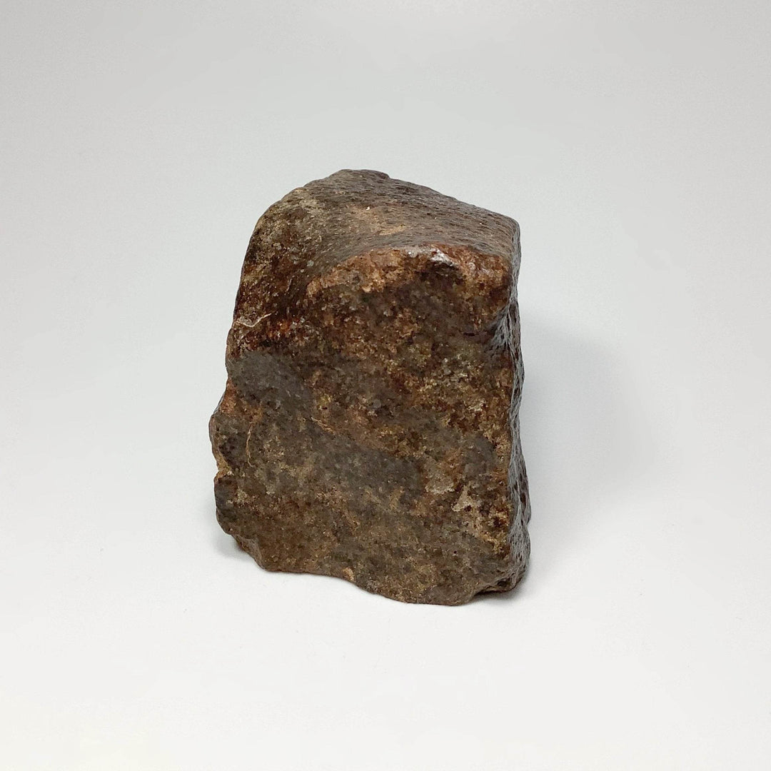 NWA Chondrite Meteorite - Rocks and Gems Canada