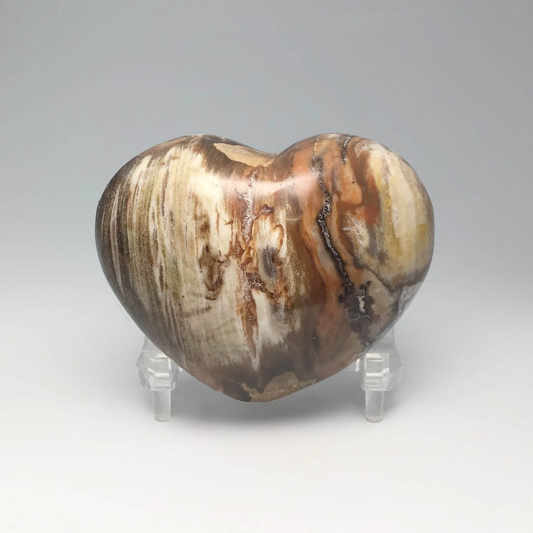 Petrified Wood Heart - Rocks and Gems Canada